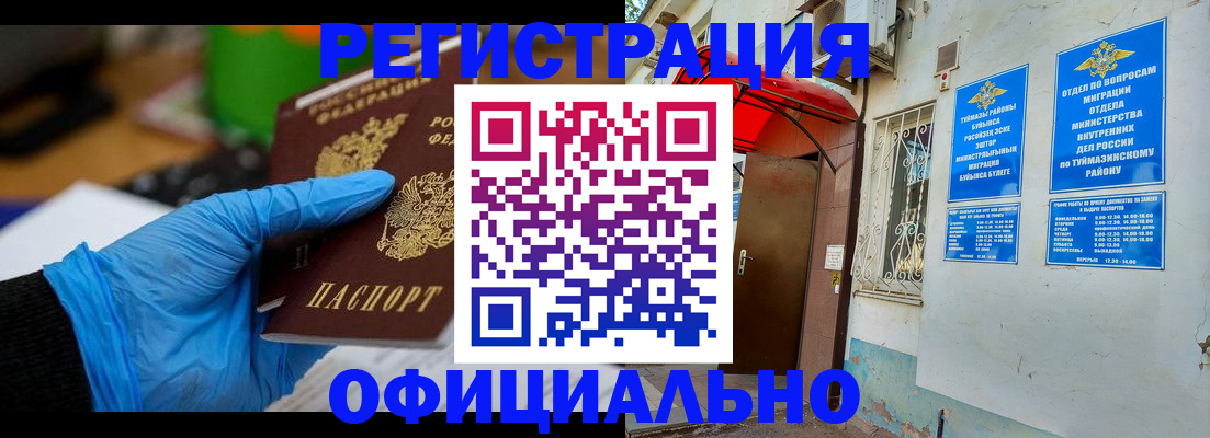 прописка в Шебекино